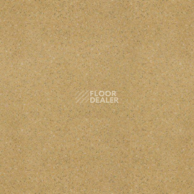 Линолеум Juteks Premium NEVADA 221M фото 1 | FLOORDEALER